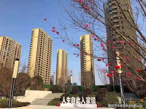 鎮(zhèn)江新盤速遞 一站式獲取樓盤動(dòng)態(tài)、地址戶型與教育資源解析